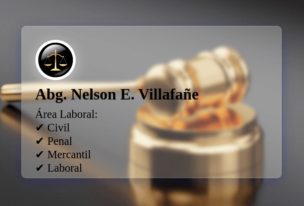 abg nelson villafane